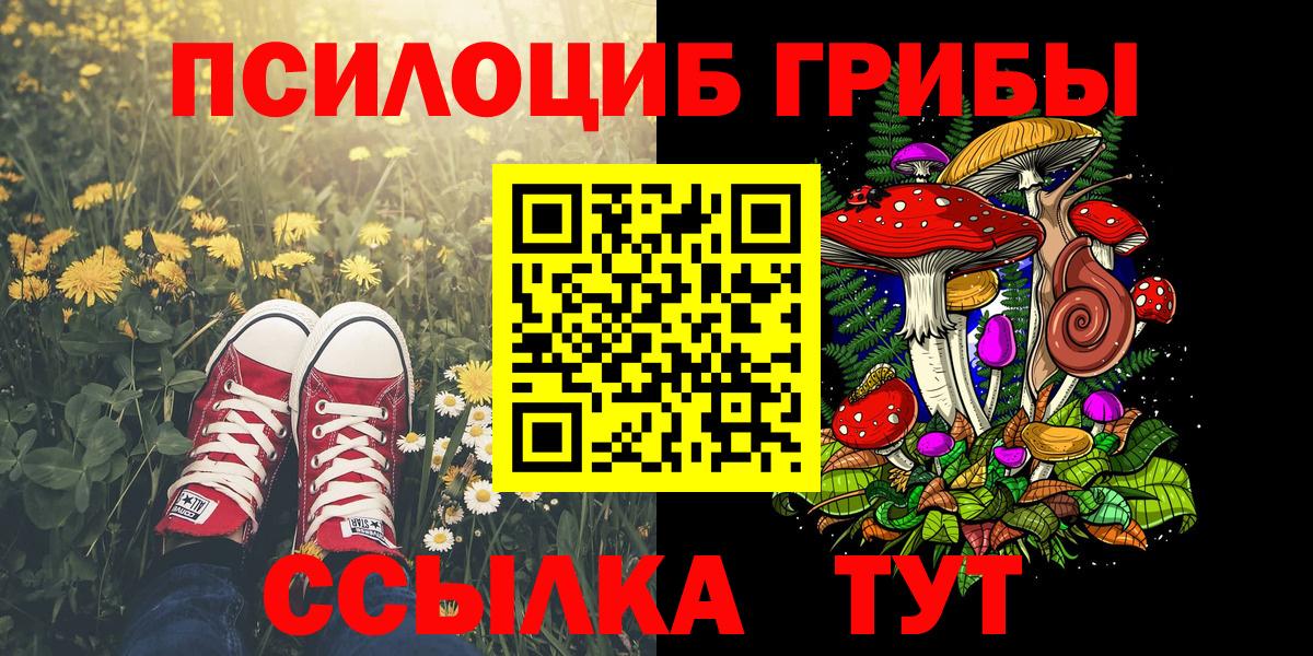Галлюциногенные грибы мицелий Кировск