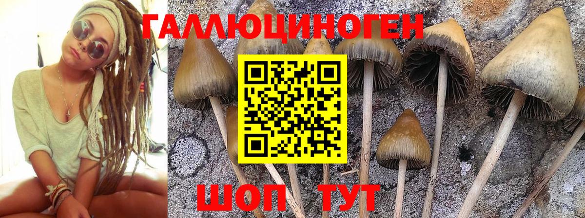 Галлюциногенные грибы MAGIC MUSHROOMS  Вход с VPN  Кировск  Псилоцибиновые грибы мицелий 